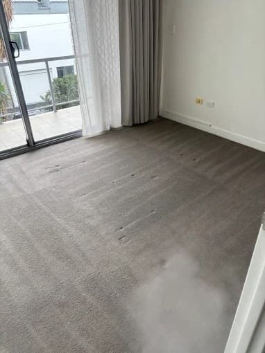 Steam-cleaned grey carpet with professional cleaning tracks in a bright living room