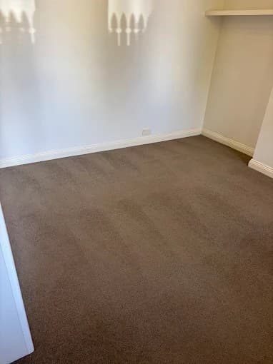 Freshly vacuumed brown carpet with professional cleaning lines